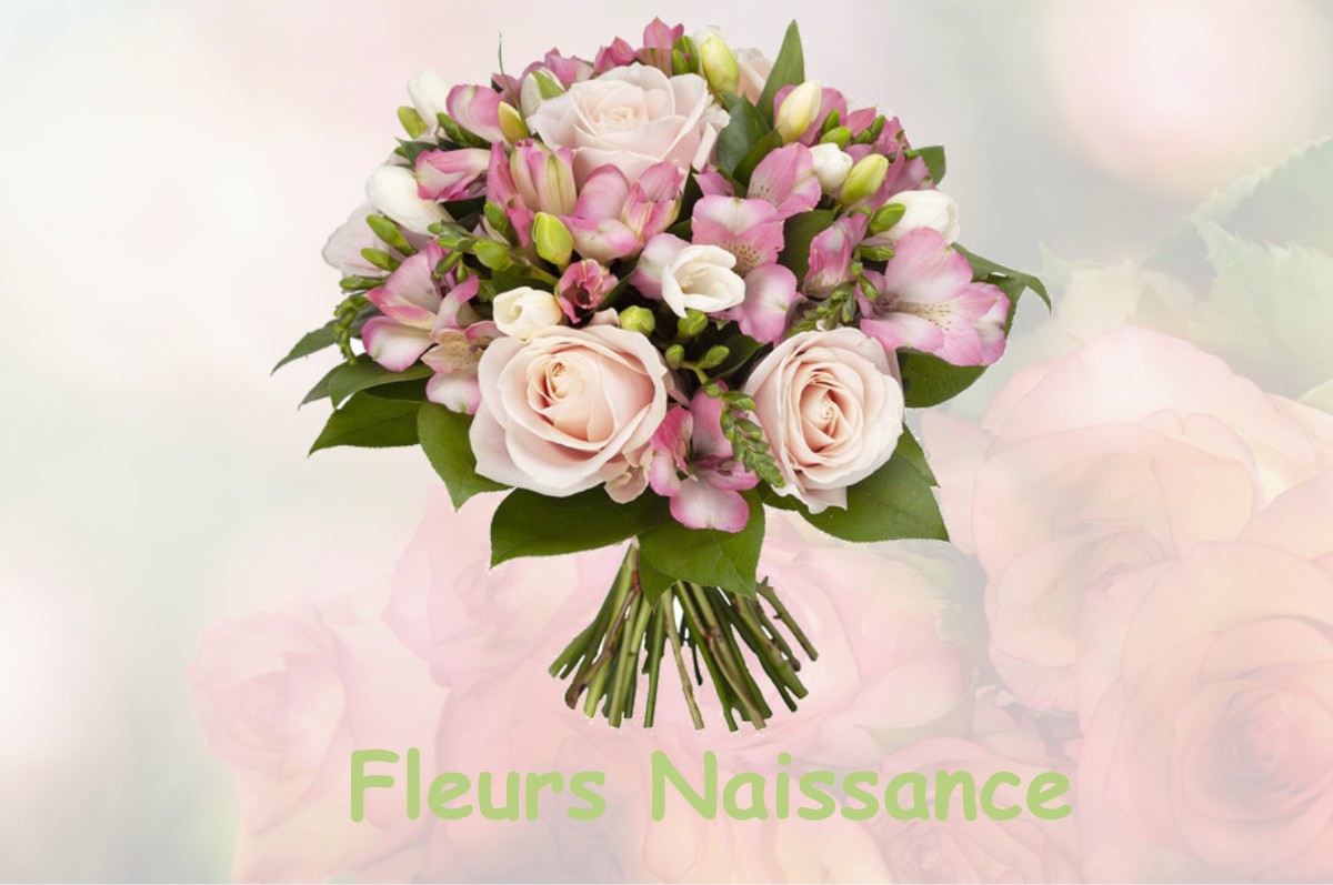 fleurs naissance VILLENEUVE-TOLOSANE